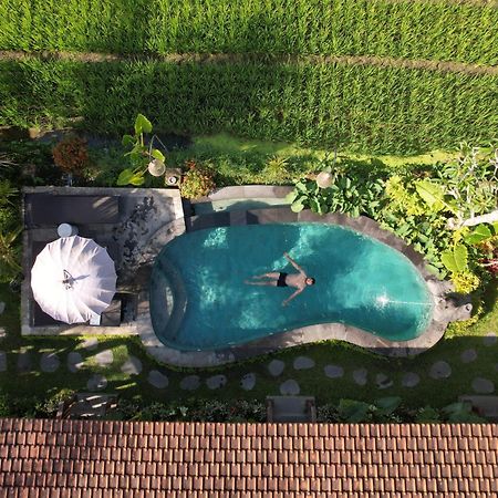 Umakelod Sebatu Villas ウブド エクステリア 写真
