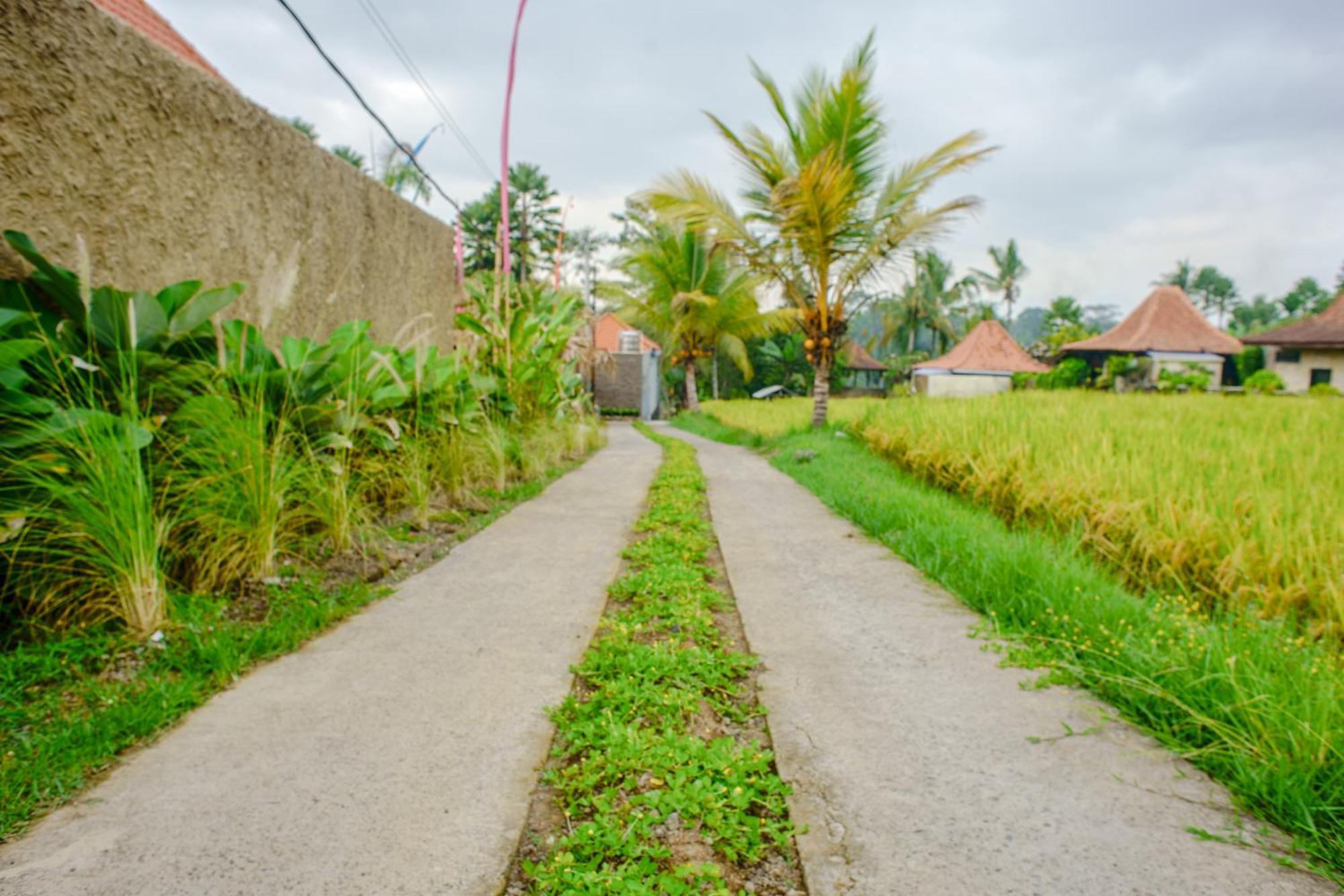 Umakelod Sebatu Villas ウブド エクステリア 写真