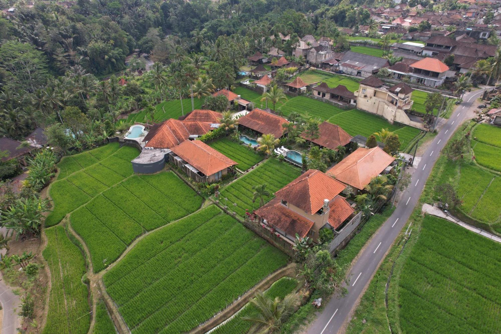 Umakelod Sebatu Villas ウブド エクステリア 写真