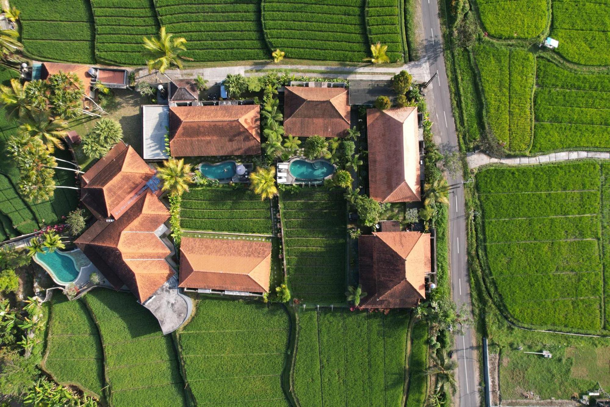 Umakelod Sebatu Villas ウブド エクステリア 写真